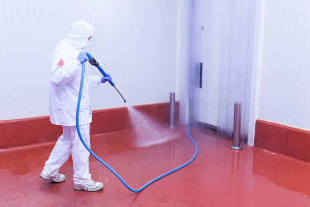 Reliable Kearny, NJ Pressure Washing Services Solutions